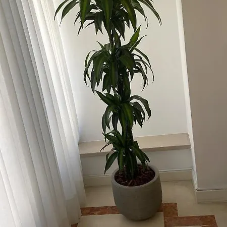Spacious And Comfortable 2bed 2 Bath Near Airport And Citycenter Lisboa